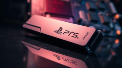 PS5 SSD NVMe Loading Lama